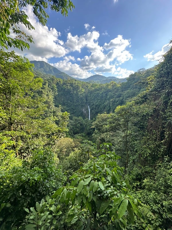 Nature